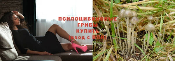 apvp Баксан
