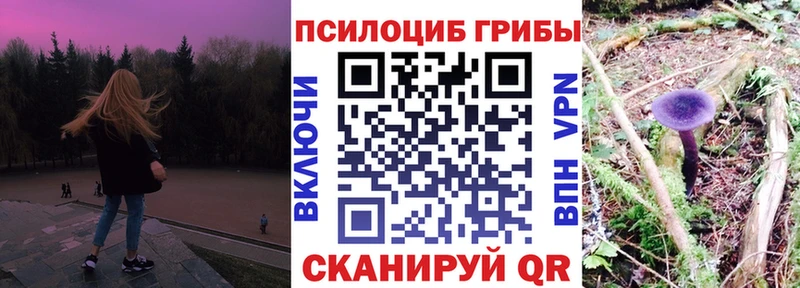 Купить  Галич  Галлюциногенные грибы Psilocybine cubensis 